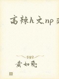 高辣h文np爽封面