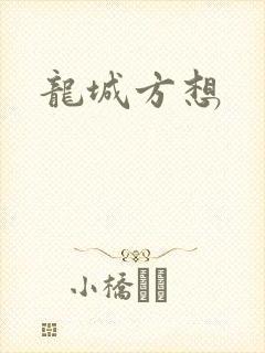 龙城方想封面