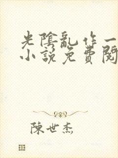 光阴乱作一团的小说免费阅读