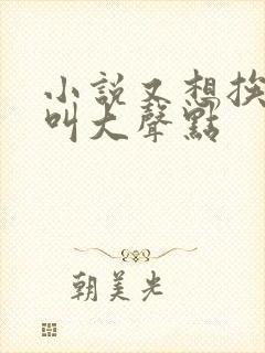 小说又想挨C了叫大声点