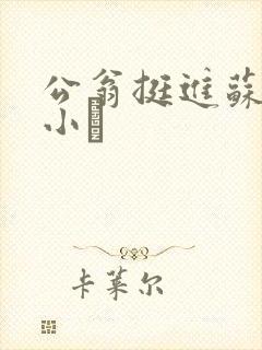 公翁挺进苏玥的小泬