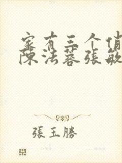 家有三个俏媳妇陈法蓉张敏封面