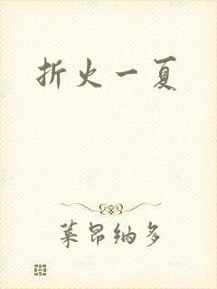 折火一夏封面