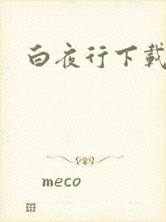 白夜行下载封面