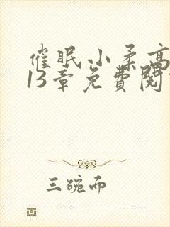 催眠小柔高达第13章免费阅读