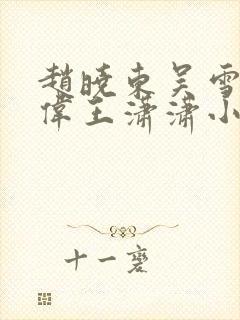 赵晓东吴雪晴郑伟王潇潇小说名字