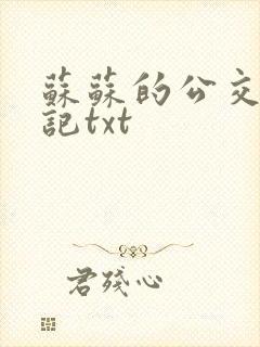 苏苏的公交车日记txt