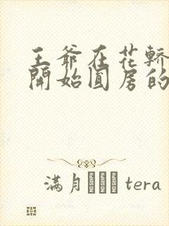 王爷在花轿里就开始圆房的小说封面