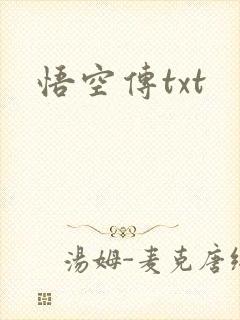 悟空传txt封面