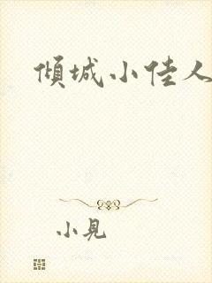 倾城小佳人封面