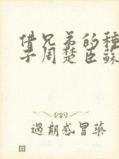 借兄弟的种生孩子周楚臣苏糖