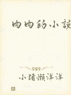 肉肉的小说