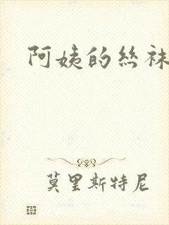 阿姨的丝袜小说