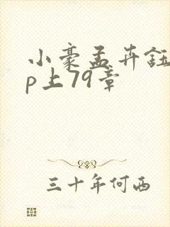 小豪孟卉钰慧三p上79章