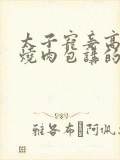 太子宠妾高肉红烧肉包讲的什么