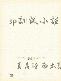 sp训诫小说