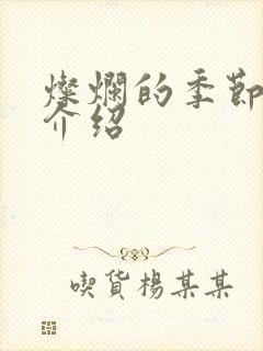 灿烂的季节剧情介绍