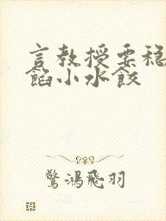 言教授要稳住肉馅小水饺封面