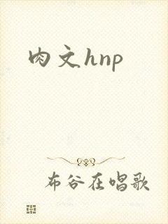 肉文hnp