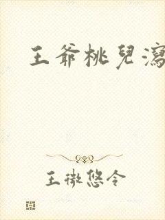 王爷桃儿泻了封面