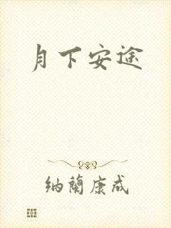 月下安途