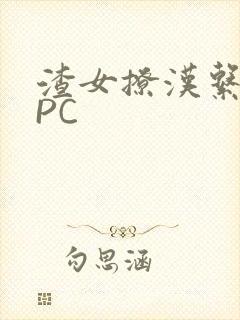 渣女撩汉系统NPC