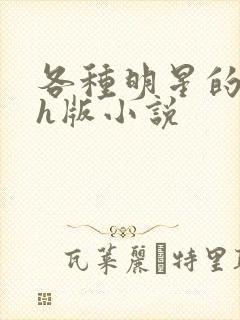 各种明星的综艺h版小说