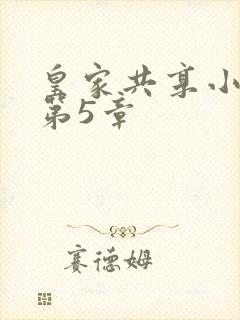 皇家共享小公主第5章