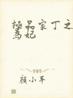 极品家丁之册母为妃