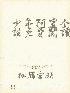 少年阿宾全文小说免费阅读笔趣阁