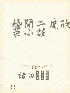 婚开二度欣欣向荣小说