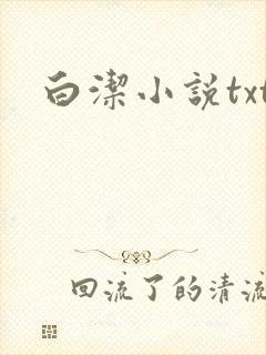 白洁小说txt