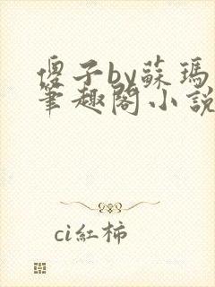 傻子by苏玛丽笔趣阁小说封面