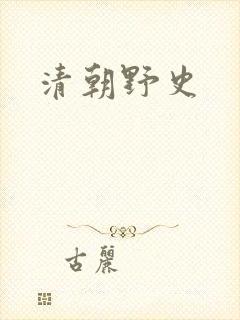 清朝野史封面