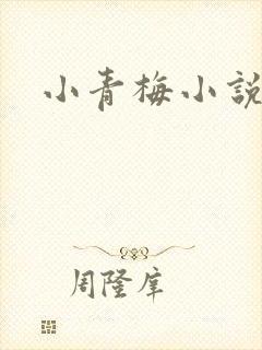 小青梅小说封面