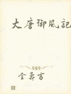 大唐御风记