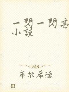 一闪一闪亮星星小说