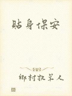 贴身保安封面
