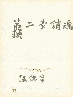 第二章销魂的交换