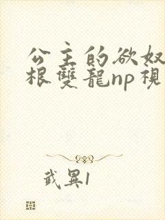 公主的欲奴h四根双龙np视频