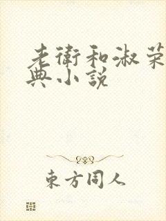 老卫和淑荣的经典小说