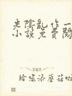 光阴乱作一团的小说免费阅读封面