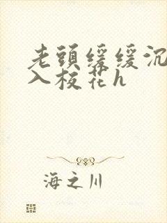 老头缓缓沉腰进入校花h封面