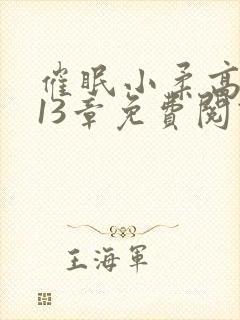 催眠小柔高达第13章免费阅读