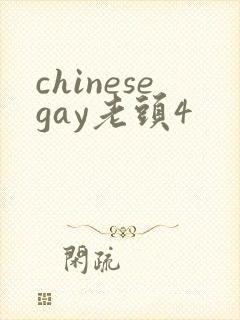 chinesegay老头4