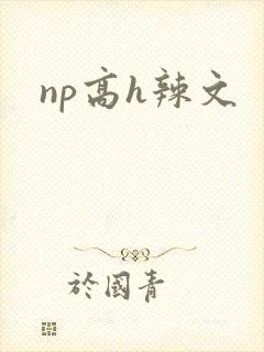 np高h辣文封面