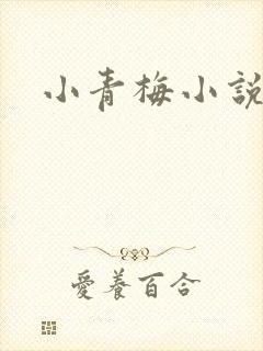 小青梅小说封面