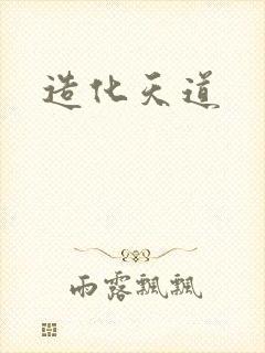 造化天道封面