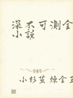 深不可测金银花小说