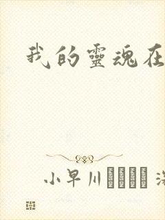 我的灵魂在古代封面